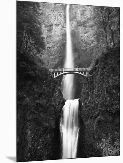 View of Multnomah Falls in Columbia Gorge, Oregon, USA-Walter Bibikow-Mounted Photographic Print