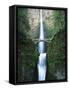 View of Multnomah Falls in Columbia Gorge, Oregon, USA-Walter Bibikow-Framed Stretched Canvas