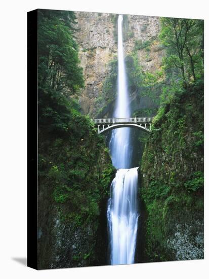 View of Multnomah Falls in Columbia Gorge, Oregon, USA-Walter Bibikow-Stretched Canvas