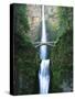 View of Multnomah Falls in Columbia Gorge, Oregon, USA-Walter Bibikow-Stretched Canvas