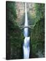 View of Multnomah Falls in Columbia Gorge, Oregon, USA-Walter Bibikow-Stretched Canvas