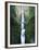 View of Multnomah Falls in Columbia Gorge, Oregon, USA-Walter Bibikow-Framed Premium Photographic Print