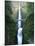 View of Multnomah Falls in Columbia Gorge, Oregon, USA-Walter Bibikow-Mounted Premium Photographic Print