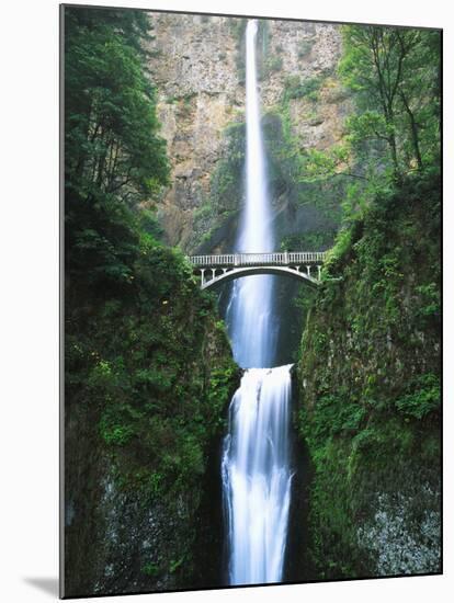 View of Multnomah Falls in Columbia Gorge, Oregon, USA-Walter Bibikow-Mounted Premium Photographic Print