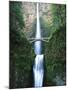 View of Multnomah Falls in Columbia Gorge, Oregon, USA-Walter Bibikow-Mounted Premium Photographic Print