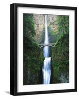 View of Multnomah Falls in Columbia Gorge, Oregon, USA-Walter Bibikow-Framed Photographic Print