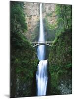 View of Multnomah Falls in Columbia Gorge, Oregon, USA-Walter Bibikow-Mounted Photographic Print