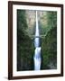 View of Multnomah Falls in Columbia Gorge, Oregon, USA-Walter Bibikow-Framed Photographic Print