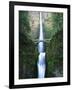 View of Multnomah Falls in Columbia Gorge, Oregon, USA-Walter Bibikow-Framed Photographic Print