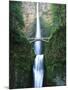 View of Multnomah Falls in Columbia Gorge, Oregon, USA-Walter Bibikow-Mounted Photographic Print