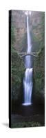 View of Multnomah Falls in Columbia Gorge, Oregon, USA-Walter Bibikow-Stretched Canvas