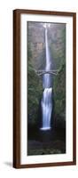 View of Multnomah Falls in Columbia Gorge, Oregon, USA-Walter Bibikow-Framed Photographic Print