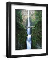 View of Multnomah Falls in Columbia Gorge, Oregon, USA-Walter Bibikow-Framed Premium Photographic Print