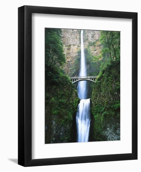 View of Multnomah Falls in Columbia Gorge, Oregon, USA-Walter Bibikow-Framed Premium Photographic Print