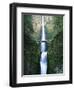 View of Multnomah Falls in Columbia Gorge, Oregon, USA-Walter Bibikow-Framed Premium Photographic Print