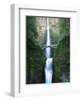 View of Multnomah Falls in Columbia Gorge, Oregon, USA-Walter Bibikow-Framed Premium Photographic Print