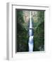 View of Multnomah Falls in Columbia Gorge, Oregon, USA-Walter Bibikow-Framed Premium Photographic Print