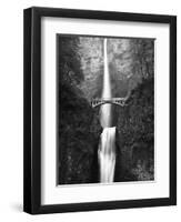 View of Multnomah Falls in Columbia Gorge, Oregon, USA-Walter Bibikow-Framed Photographic Print