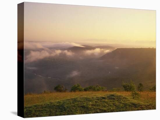 View of Mwaluganje Elephant Sanctuary, Shimbas, Kenya, East Africa, Africa-Stanley Storm-Stretched Canvas