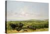 View of Narragansett Bay, Near Warwick, Rhode Island-David Johnson-Stretched Canvas