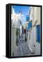 View of narrow street, Mykonos Town, Mykonos, Cyclades Islands, Greek Islands, Aegean Sea, Greece-Frank Fell-Framed Stretched Canvas