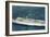 View of Nassau Cruises Liner SS Florida-Lantern Press-Framed Art Print