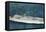 View of Nassau Cruises Liner SS Florida-Lantern Press-Framed Stretched Canvas