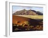 View of Naukluft Mountains from Elim Dune Near Sesriem in Namib-Naukluft National Park, Namibia-Julian Love-Framed Photographic Print