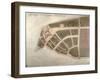 View of New Amsterdam, Costello Plan, 1660-Jacques Cortelyou-Framed Giclee Print