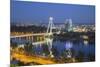 View of New Bridge over the River Danube at Dusk, Bratislava, Slovakia, Europe-Ian Trower-Mounted Photographic Print