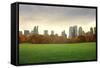 View of New York Buildings from Central Park-olly2-Framed Stretched Canvas