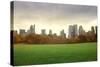 View of New York Buildings from Central Park-olly2-Stretched Canvas