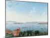 View of New York Harbour from Brooklyn Heights, C.1860-null-Mounted Giclee Print