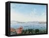 View of New York Harbour from Brooklyn Heights, C.1860-null-Framed Stretched Canvas