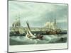 View of New York Quarantine, Staten Island, 1833-John Bachman-Mounted Giclee Print