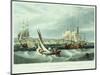 View of New York Quarantine, Staten Island, 1833-John Bachman-Mounted Giclee Print