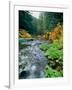 View of North Santiam River flowing through rocks, Willamette National Forest, Lane County, Oreg...-null-Framed Photographic Print