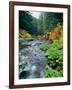 View of North Santiam River flowing through rocks, Willamette National Forest, Lane County, Oreg...-null-Framed Photographic Print