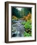 View of North Santiam River flowing through rocks, Willamette National Forest, Lane County, Oreg...-null-Framed Photographic Print