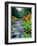 View of North Santiam River flowing through rocks, Willamette National Forest, Lane County, Oreg...-null-Framed Photographic Print