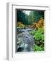 View of North Santiam River flowing through rocks, Willamette National Forest, Lane County, Oreg...-null-Framed Photographic Print