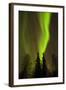 View of Northern Lights and Stars, Chena Hot Springs, Alaska, USA-Jaynes Gallery-Framed Photographic Print