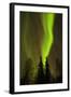 View of Northern Lights and Stars, Chena Hot Springs, Alaska, USA-Jaynes Gallery-Framed Photographic Print