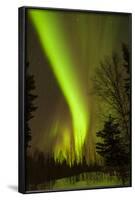 View of Northern Lights and Stars, Chena Hot Springs, Alaska, USA-Jaynes Gallery-Framed Photographic Print