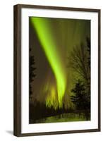 View of Northern Lights and Stars, Chena Hot Springs, Alaska, USA-Jaynes Gallery-Framed Photographic Print