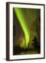 View of Northern Lights and Stars, Chena Hot Springs, Alaska, USA-Jaynes Gallery-Framed Photographic Print