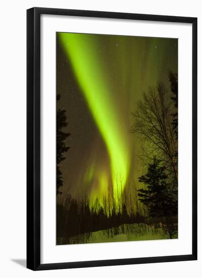 View of Northern Lights and Stars, Chena Hot Springs, Alaska, USA-Jaynes Gallery-Framed Photographic Print