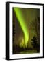 View of Northern Lights and Stars, Chena Hot Springs, Alaska, USA-Jaynes Gallery-Framed Photographic Print