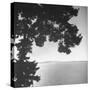 View of Northern Puget Sound-Peter Stackpole-Stretched Canvas