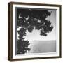 View of Northern Puget Sound-Peter Stackpole-Framed Photographic Print